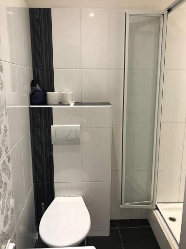 Stara Louka Apartments Карловы Вары Экстерьер фото